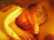 P1010015.gif