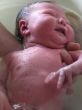 Baden_1_020208.jpg